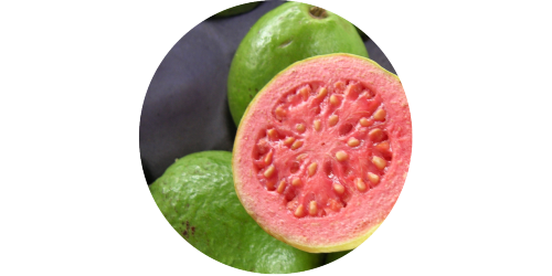 Guava (FA)